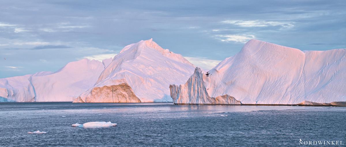 eisberge im licht der sonne im ilulissat eisfjord